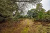 1239 Strickland Road, Strickland, Tas 7140-Image