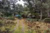 1239 Strickland Road, Strickland, Tas 7140-Image