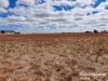 124 Geoghegan Road, Roma, Qld 4455
