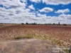 124 Geoghegan Road, Roma, Qld 4455-Image