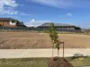 124 Hartlepool Road, Edmondson Park, NSW 2174-Image
