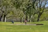 124 Monier Way, Fyansford, Vic 3218-Image