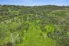125 Emu Flat Road, Emu Flat, SA 5453-Image