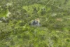 125 Emu Flat Road, Emu Flat, SA 5453-Image