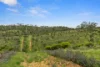 125 Emu Flat Road, Emu Flat, SA 5453-Image