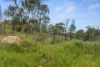 125 Emu Flat Road, Emu Flat, SA 5453-Image