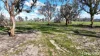 126 B Hateleys Road, Arapiles, Vic 3409-Image