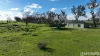 126 B Hateleys Road, Arapiles, Vic 3409-Image