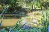 126 Cash Road, Eumundi, Qld 4562-Image