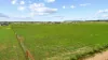129 Chapman Road, North Moonta, SA 5558-Image