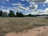 13 Angas Terrace, Wilmington, SA 5485