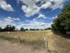 13 Angas Terrace, Wilmington, SA 5485-Image