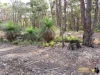 13 Artillery Drive, Chidlow, WA 6556-Image