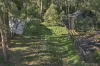 13 Belbrook Road, Upwey, Vic 3158