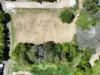 13 Cape View Way, Tallwoods Village, NSW 2430-Image
