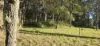 13 Castle Drive, Russell Island, Qld 4184-Image