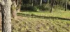 13 Castle Drive, Russell Island, Qld 4184-Image