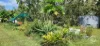 13 Cycad Close, Cooktown, Qld 4895-Image
