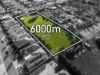 13 Laburnum Place, Hillside, Vic 3037