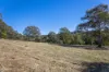 13 Leathem Pl, Little Hartley, NSW 2790-Image