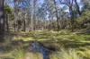13 Leathem Pl, Little Hartley, NSW 2790-Image