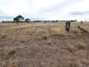 13 Loats Street, Minyip, Vic 3392