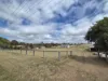 13 Newby Street, Rosenthal Heights, Qld 4370-Image