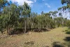 13 Noyes Road, White Beach, Tas 7184-Image
