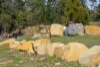 13 Noyes Road, White Beach, Tas 7184-Image