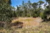 13 Noyes Road, White Beach, Tas 7184-Image