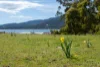 13 Noyes Road, White Beach, Tas 7184-Image