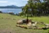 13 Noyes Road, White Beach, Tas 7184-Image