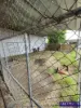 13 Palace Lane, Nanango, Qld 4615-Image