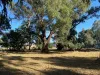 13 Phizam Place, Darling Downs, WA 6122-Image