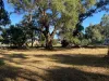 13 Phizam Place, Darling Downs, WA 6122-Image