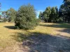 13 Phizam Place, Darling Downs, WA 6122-Image