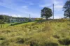 13 Richards Street, Lefroy, Tas 7252-Image