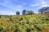 13 Richards Street, Lefroy, Tas 7252-Image