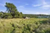 13 Richards Street, Lefroy, Tas 7252-Image