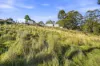 13 Richards Street, Lefroy, Tas 7252-Image