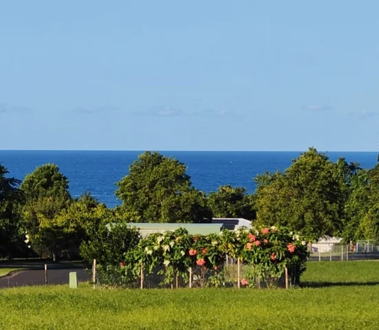 13 Unsworth Drive, Mission Beach, Qld 4852