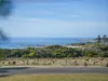 130 Tasman Highway, Bicheno, Tas 7215-Image