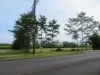 132 River Avenue, Innisfail, Qld 4860-Image