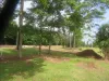 132 River Avenue, Innisfail, Qld 4860-Image