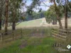 133 Llandeilo Lane, Ballan, Vic 3342-Image