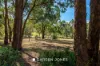 133 Memorial Drive, Plenty, Vic 3090-Image