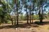 133 Memorial Drive, Plenty, Vic 3090-Image