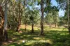 133 Memorial Drive, Plenty, Vic 3090-Image