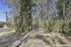 133 Sinclair Road, Falls Creek, NSW 2540-Image