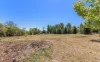 135 Bulwer Street, Tenterfield, NSW 2372-Image